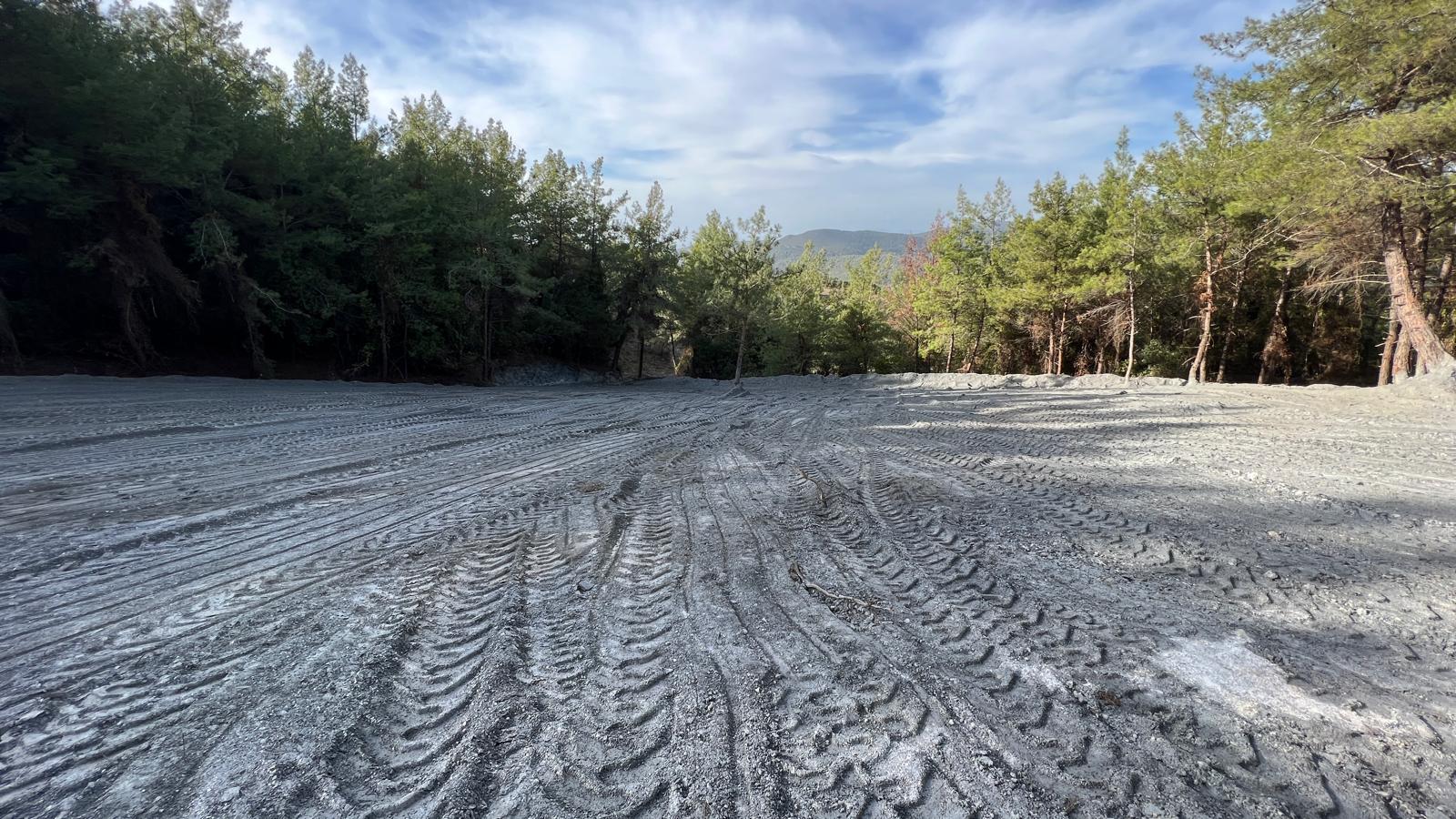 Kuşadası Kirazlıda 4100 M2 Tek Tapulu Orman İçinde Emsalsiz